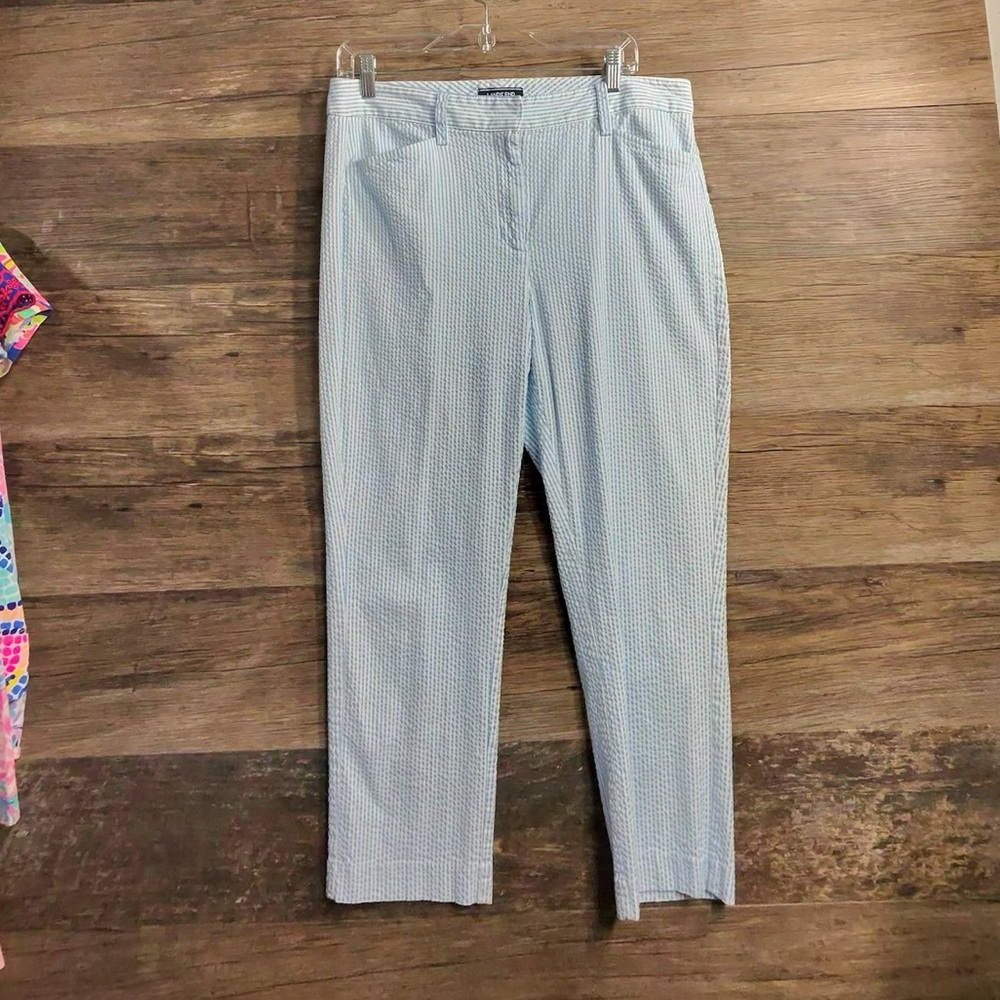 Lands' End Blue and White Striped Pants